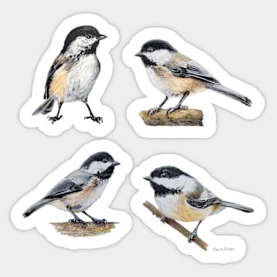 Chickadee drawing sticker set Sticker